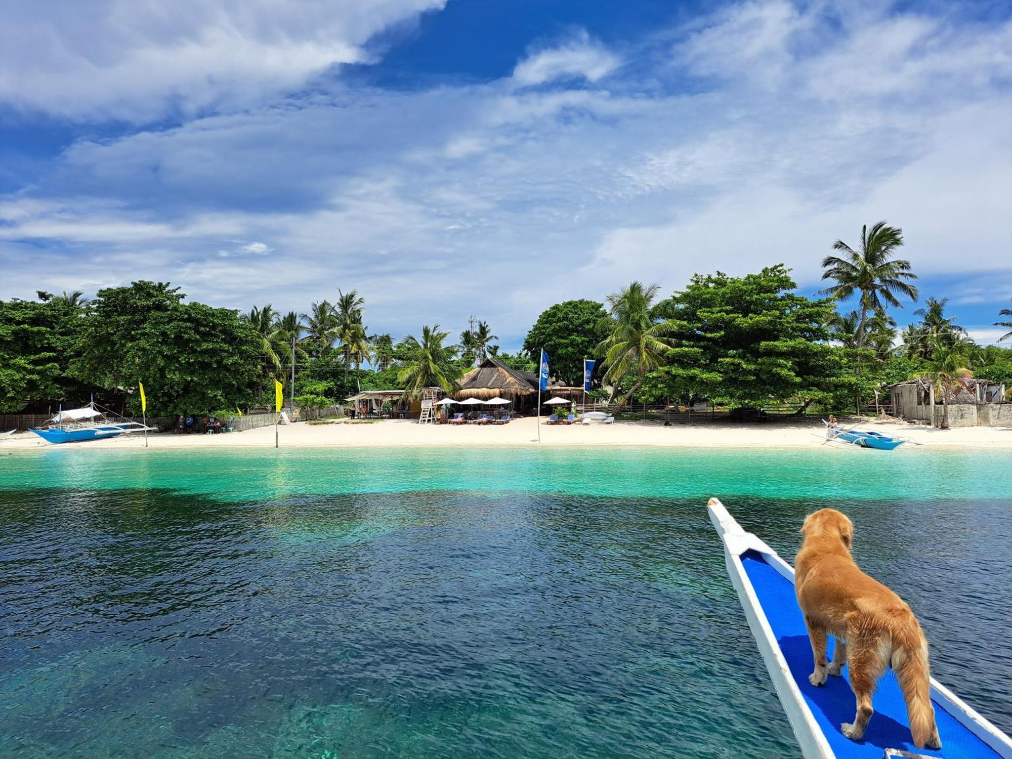 Avila'S Horizon Dive Resort Malapascua Exterior foto